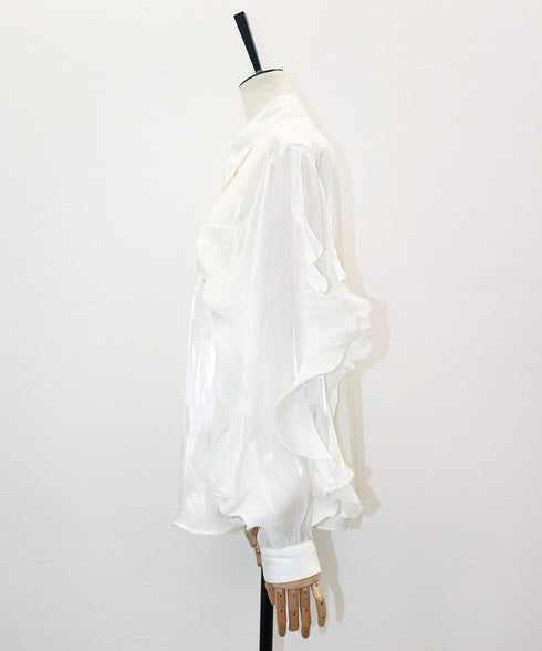 フリルスリーブ・シアーシャツ